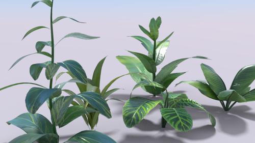 Simple plants preview image
